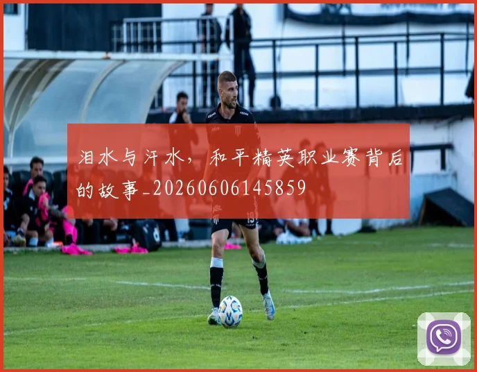 泪水与汗水,和平精英职业赛背后的故事_20260606145859
