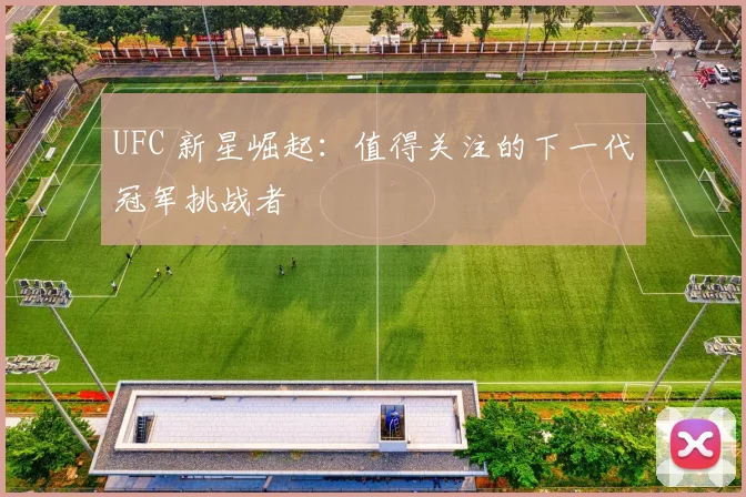UFC 新星崛起:值得关注的下一代冠军挑战者